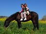 Pet Prayers: Sisters with family dog riding a horse in a meadow