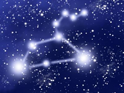 Quiz:Your Leo IQ