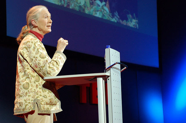 Slide Image