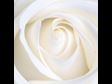 Spiritual Wedding Planner