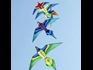 Kites in shape of birds