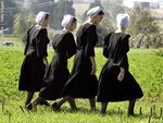 The Amish