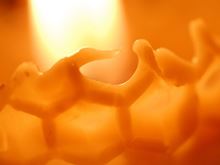 Bees Wax
