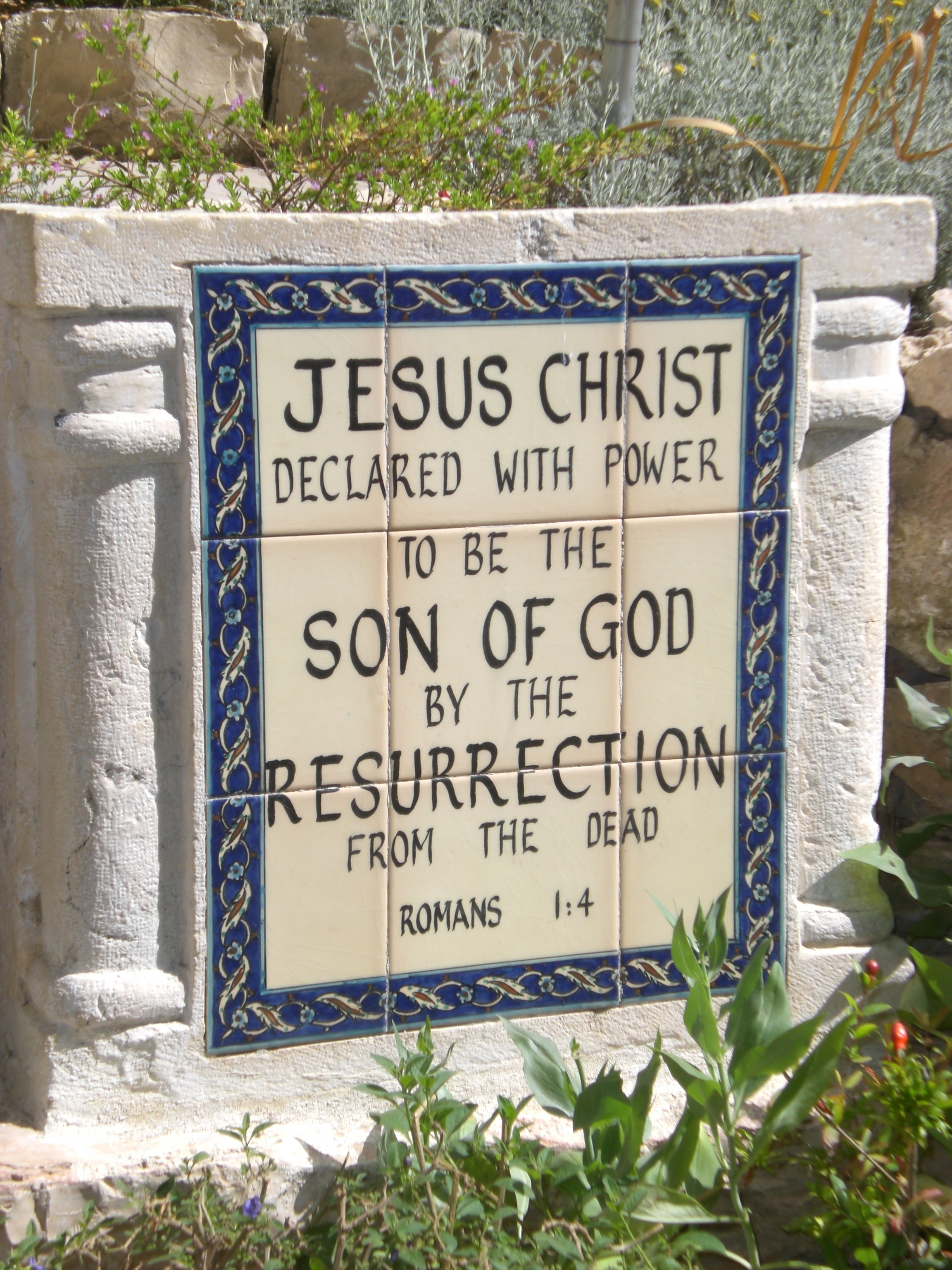 Slide Image