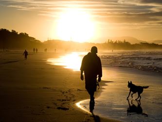 Pet Loss Meditations