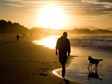 Pet Loss Meditations