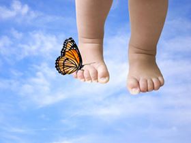 Baby feet with butterfly