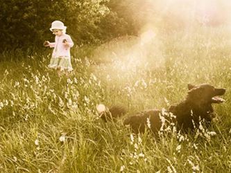 Children and Pet Loss