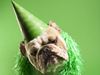 15 Ways to Stop Obsessing