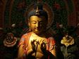Buddha Rohatsu