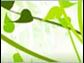 Green Living, Eco, Environment, Eco Tips