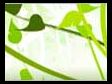 Green Living, Eco, Environment, Eco Tips