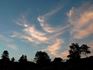 Angel Sightings
