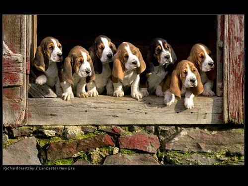 Stick Together