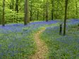 Postive Path