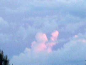 Angel Sightings