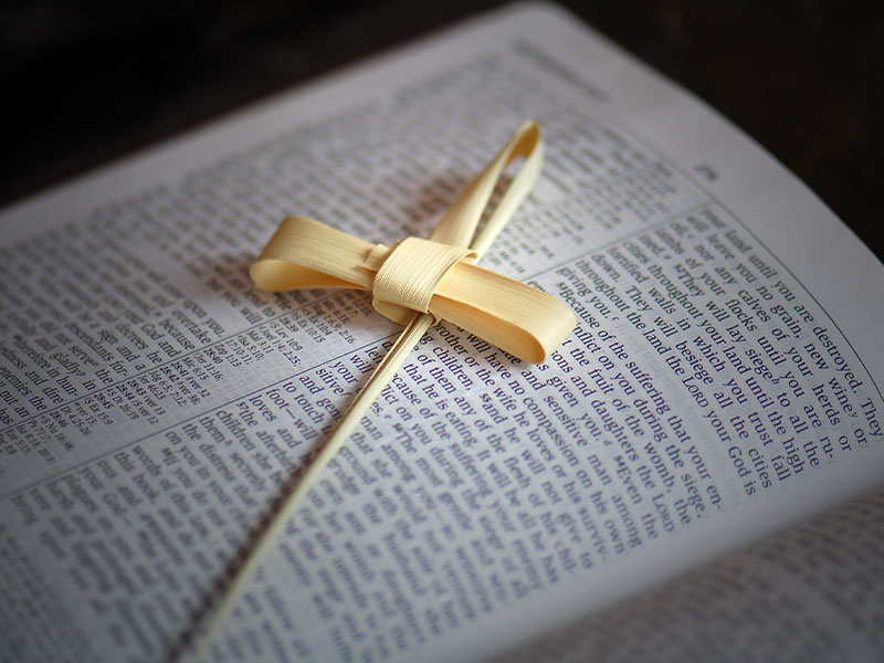 christian-catholic-bible-lent-palm-cross