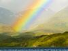 Joy, Deepak Chopra, Optimism