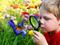 boy and butterfly