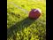 Football and Field