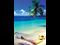 The Perfect Beach Trip