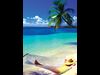The Perfect Beach Trip