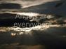 Angels Are Everywhere