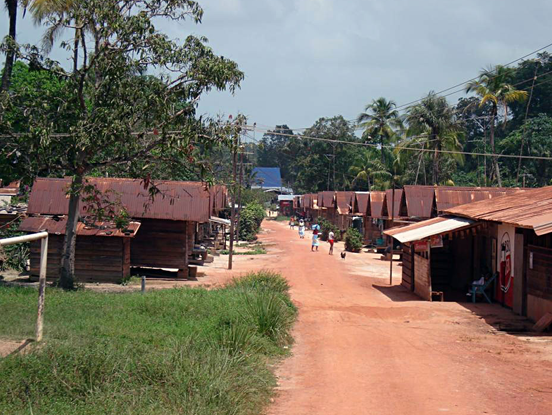 Slide Image