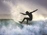 Surf Through Life