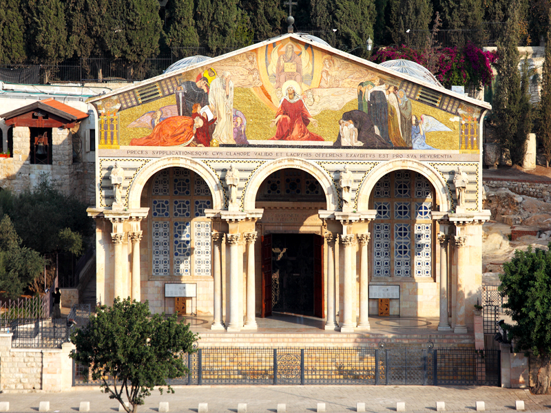 Slide Image