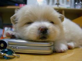 Take Plenty of Naps