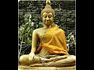 Buddhist Holidays