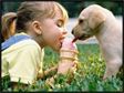 Puppy Love