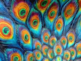 Angels-World Religions
