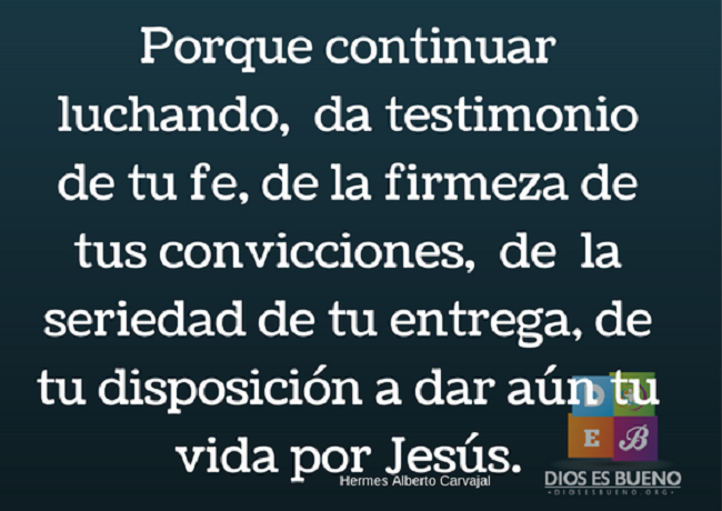 frases para no darse por vencido