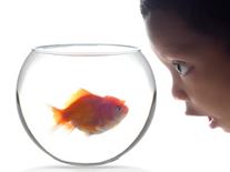 10 Ways to Connect Spiritually with Your Pets