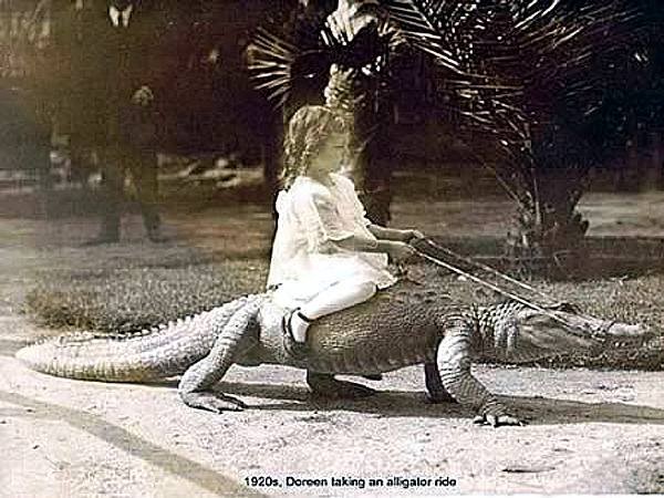 Slide Image