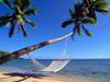 Hammock between palm trees on a beach