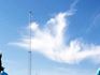 Angel Sightings