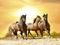 Horses