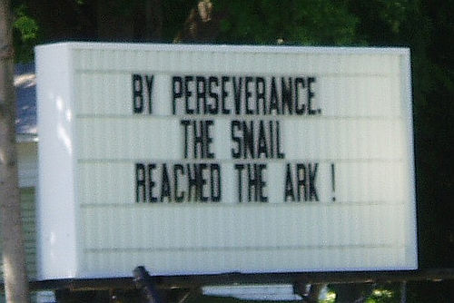 Slide Image