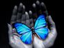 Illness and Recovery