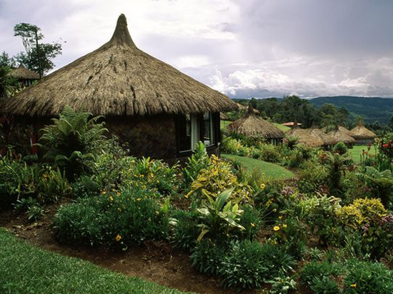 Slide Image