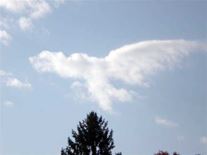 Angel Sightings