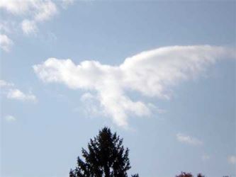 Angel Sightings