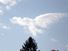 Angel Sightings