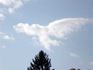 Angel Sightings