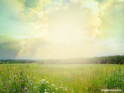 nature open field sunbeams