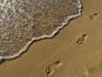 Footprints in the Sand