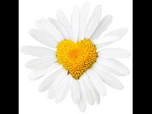 10 Ways to Honor Thyself